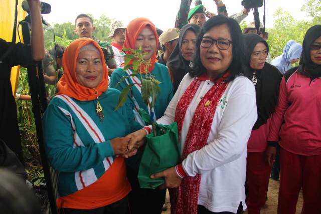 Gerakan Perempuan Peduli Mangrove1