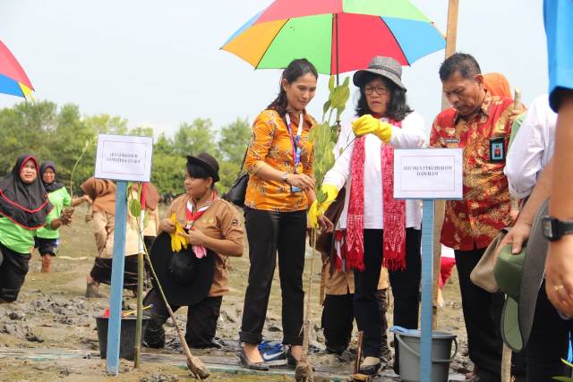 Gerakan Perempuan Peduli Mangrove2