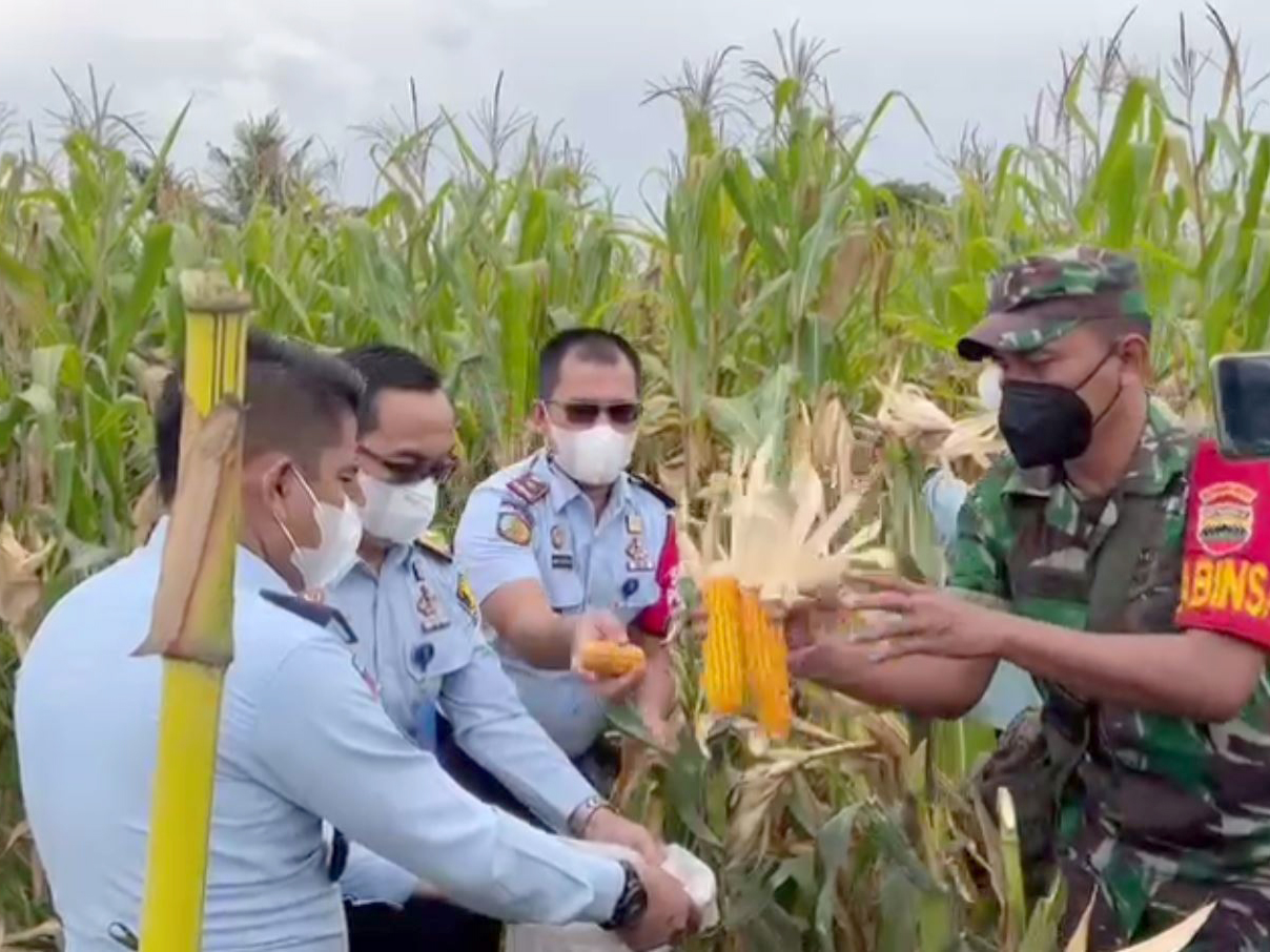 ZZZJagung Rutan Labuhan Deli3